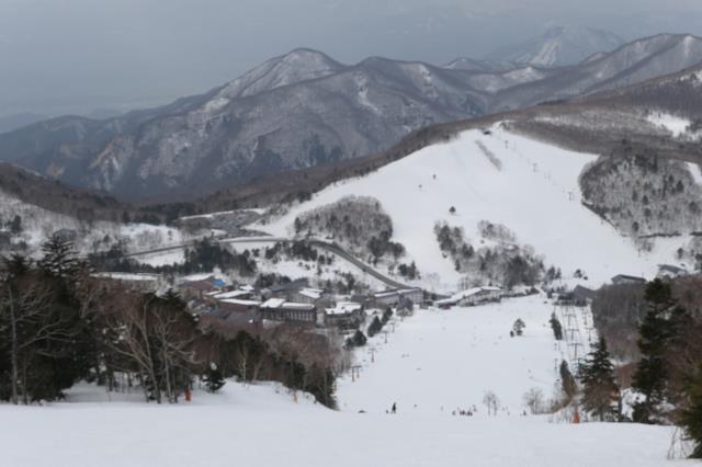 986f1577.jpg (640×426)