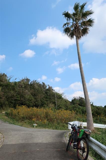 長崎観光 野母崎 稲佐山 何でもない旅の記録