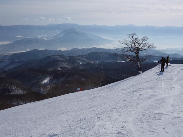 d1c10010.jpg (640×480)