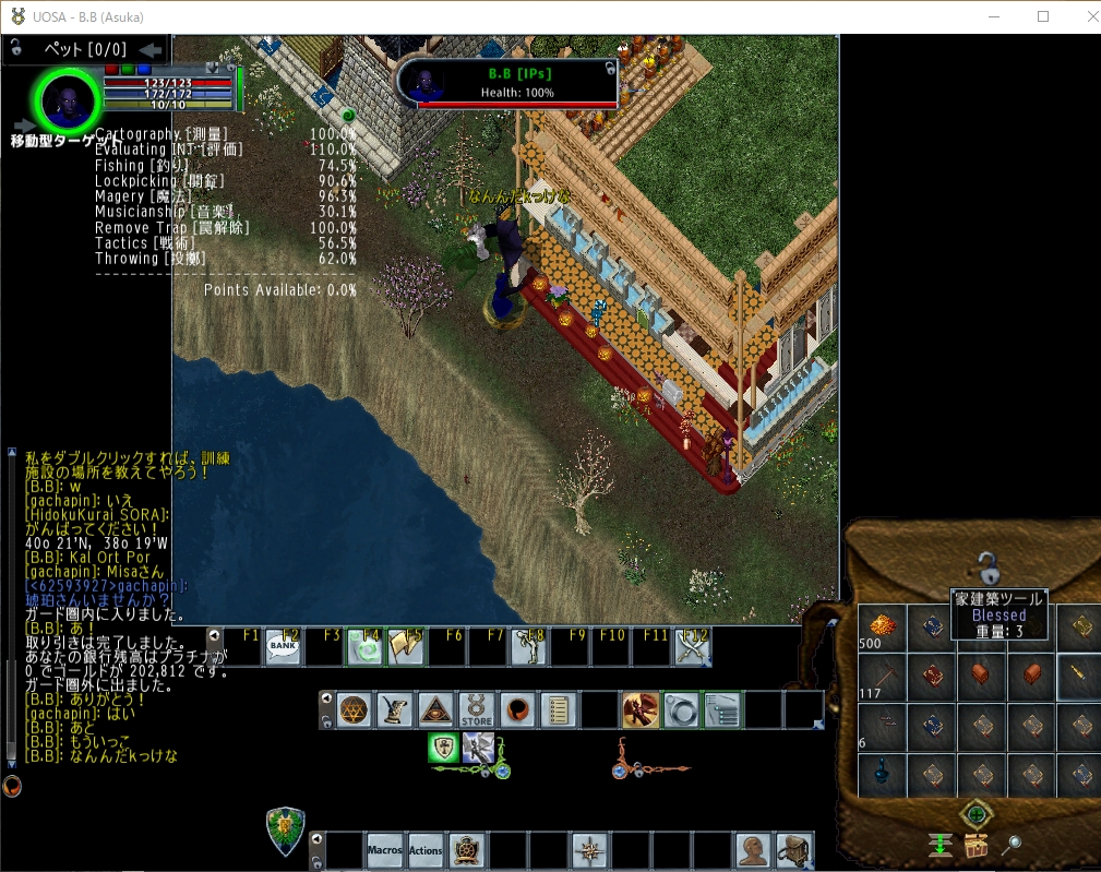 はじめての土地家屋調査 鉄猫の人々 With Ultima Online はじめての土地家屋調査 鉄猫の人々 With Ultima Online