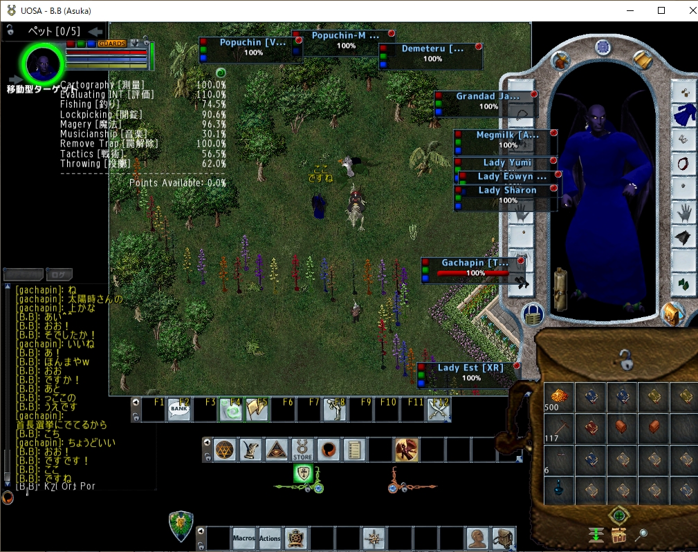 はじめての土地家屋調査 鉄猫の人々 With Ultima Online はじめての土地家屋調査 鉄猫の人々 With Ultima Online
