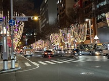 8BDDA2B2-98CC-46C6-A0C8-0EB460BCD6C2_1_105_c