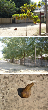 24�ˤ���Ω��