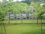 505703c9.jpg