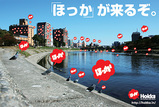 0804hokka02.jpg