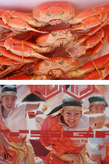 ���˥������