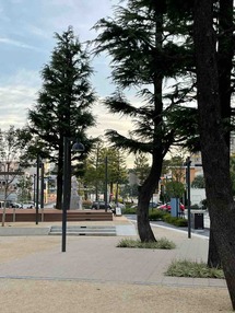 IMG_1258