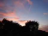 0910bigpink.jpg