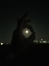 12081443_601843016621059_1278373377_n