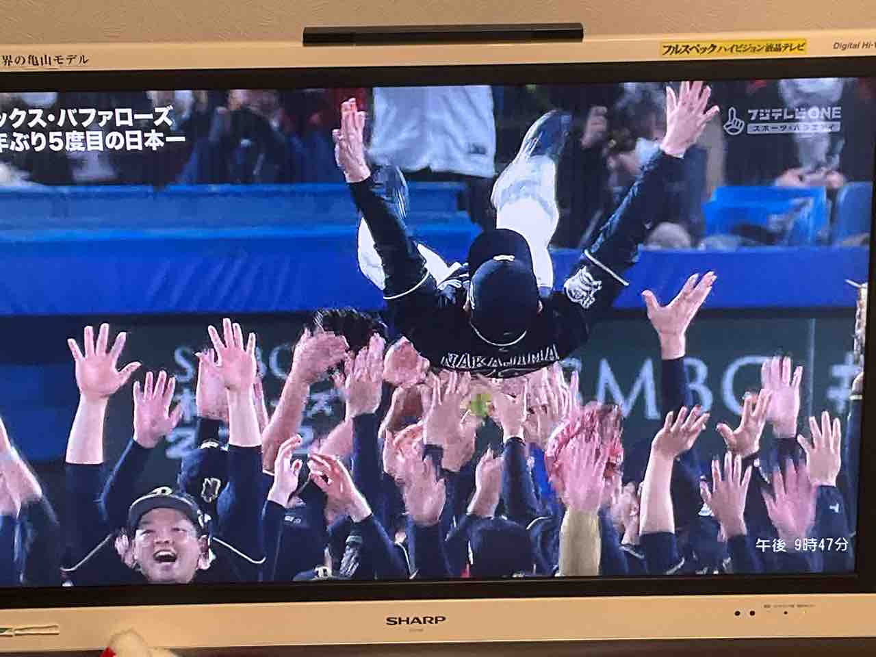 野球 時々マスコット 東京ヤクルトスワローズ 野球 時々マスコット 東京ヤクルトスワローズ