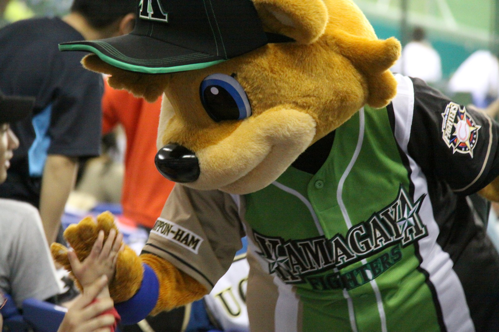 野球 時々マスコット 帰ってきた熊屋敷 4 24 F M 上 開演前