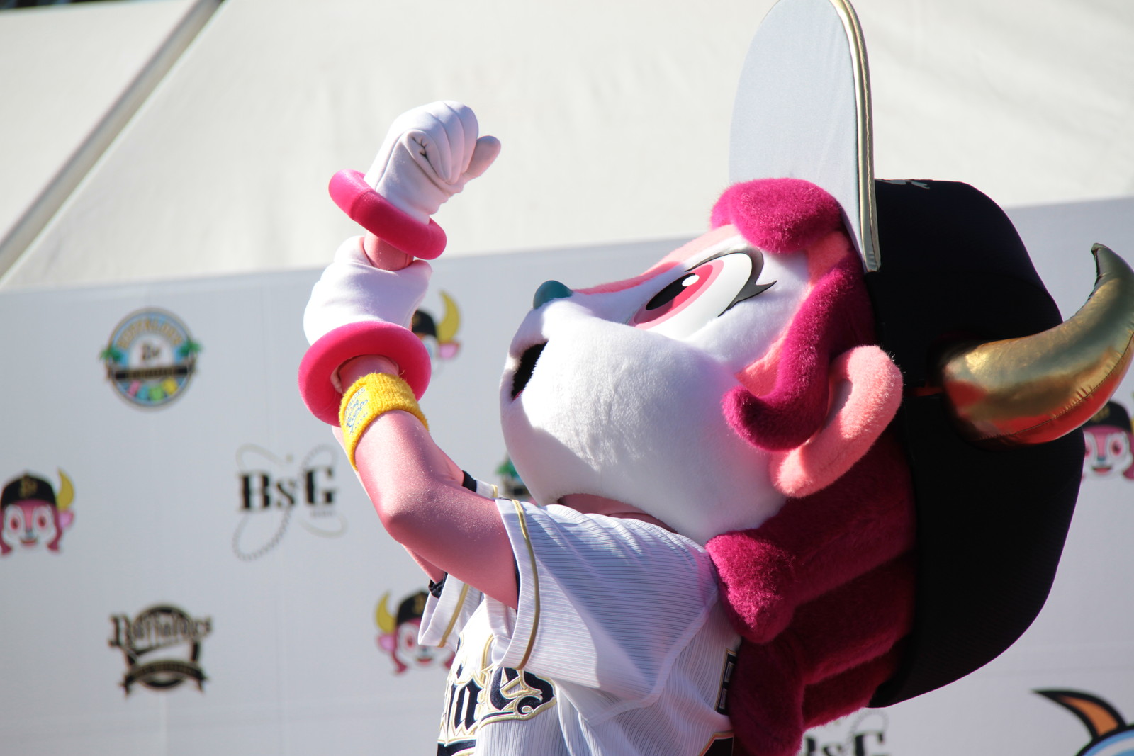 野球 時々マスコット バファローブル 野球 時々マスコット バファローブル