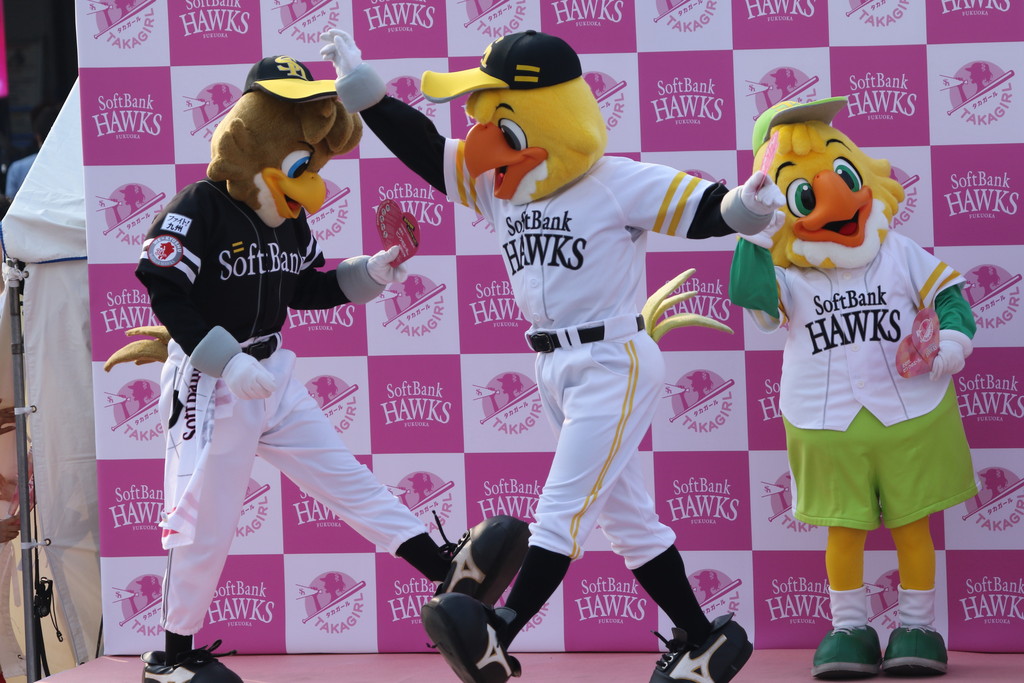 野球 時々マスコット ハリーホーク 野球 時々マスコット ハリーホーク