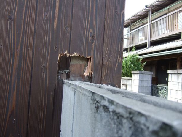 けしからん 当て逃げじゃ わたし日和 けしからん 当て逃げじゃ わたし日和
