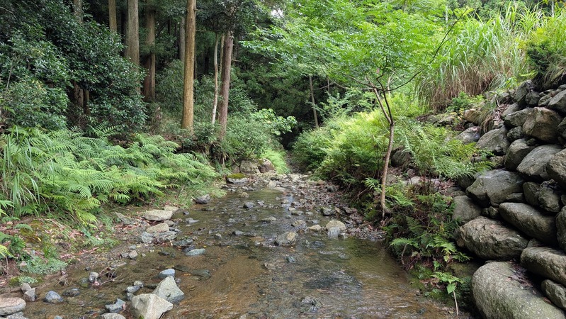 PXL_20250719_015537900~2