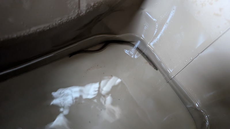 PXL_20251002_073254464.MP