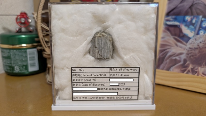 PXL_20241227_031002820