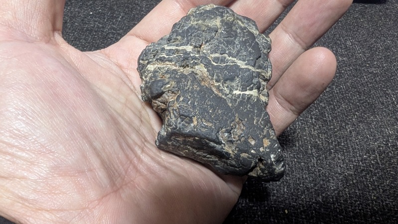 PXL_20251212_110234159.MP