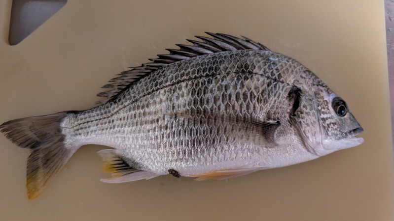 PXL_20250903_120449121.MP