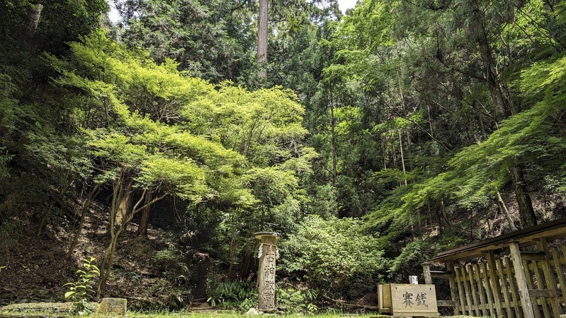 PXL_20240511_030504479.MP~2