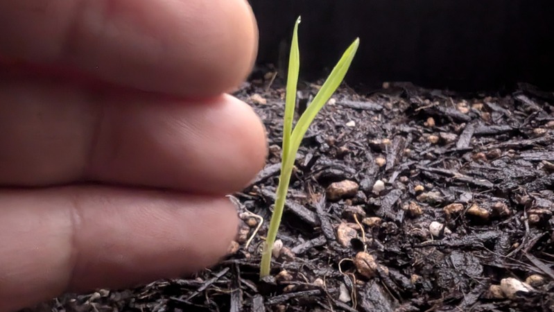 PXL_20260414_094430028.MP