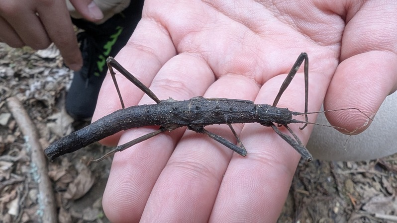 PXL_20260222_062712387.MP