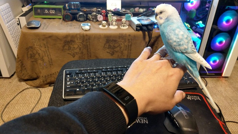 IMAG7726