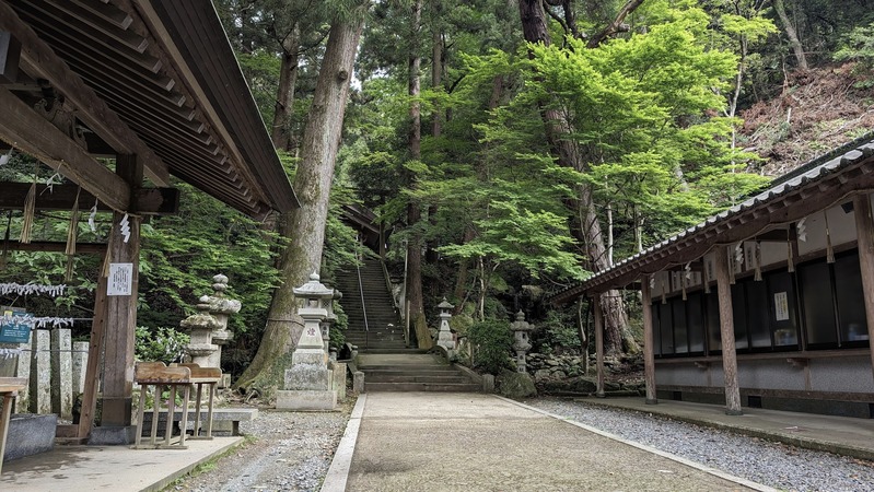 PXL_20240427_033351569~2