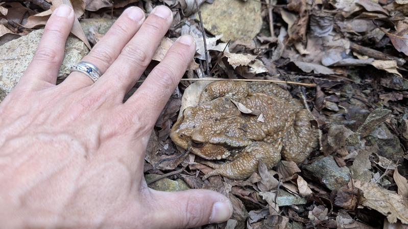 PXL_20250301_062634026.MP