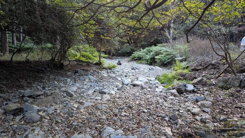 PXL_20251121_074152182