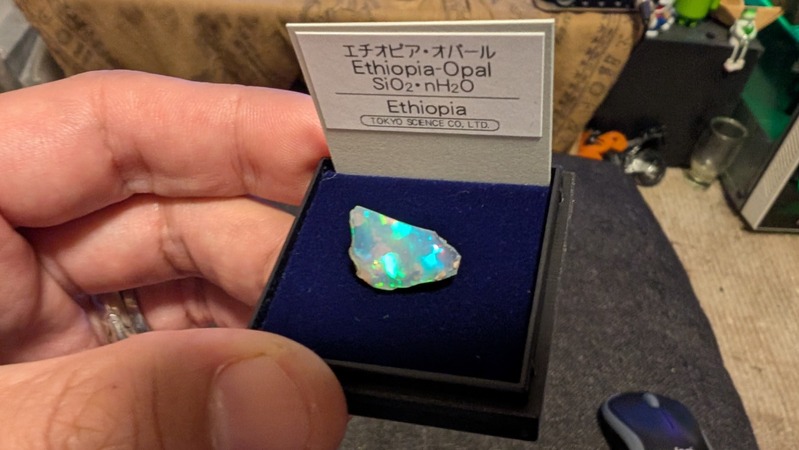 PXL_20251008_142200507.MP