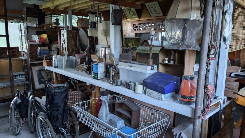 PXL_20240816_081529503.MP