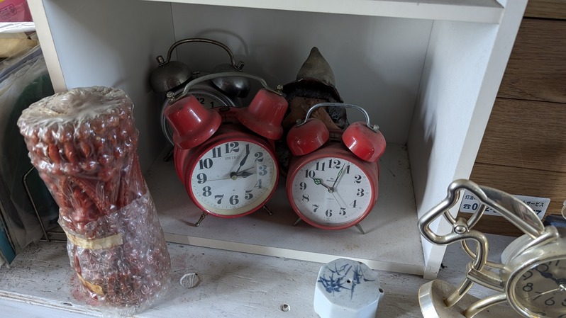 PXL_20240816_081549642.MP