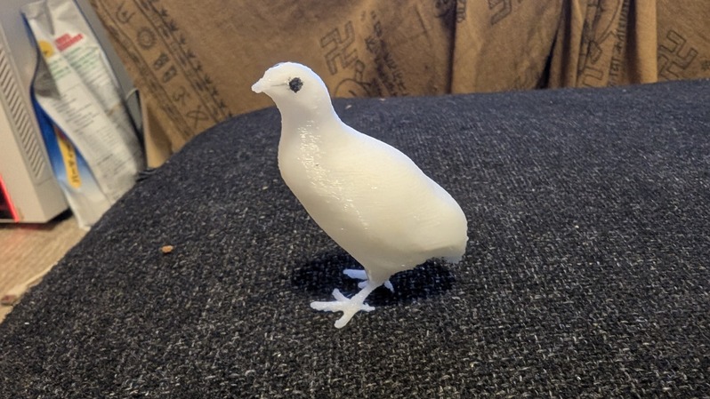 PXL_20260126_150531722.MP