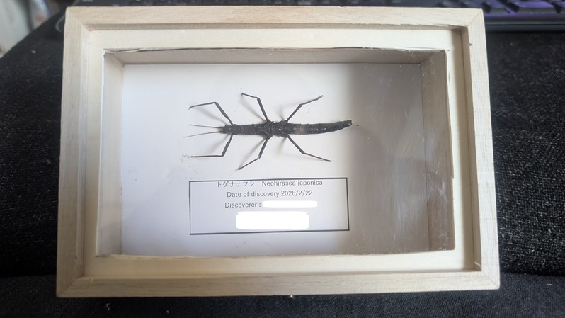 PXL_20260404_053017998