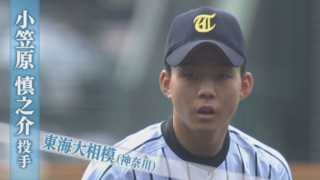 小笠原慎之介とかいう井川二世wwwwww オリ報 野球まとめブログ 小笠原慎之介とかいう井川二世wwwwww オリ報 野球まとめブログ