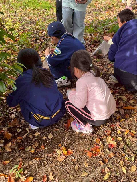 IMG_6321