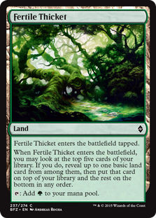 fertile Thicket