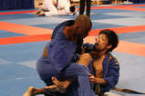 56246048.jpg