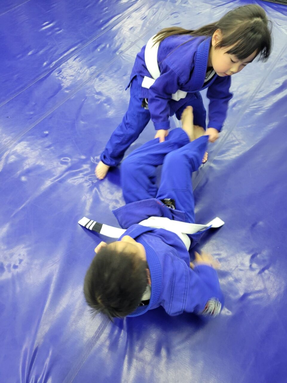 水曜日の体育教室、キッズ柔術、グラップリング、スパーリング