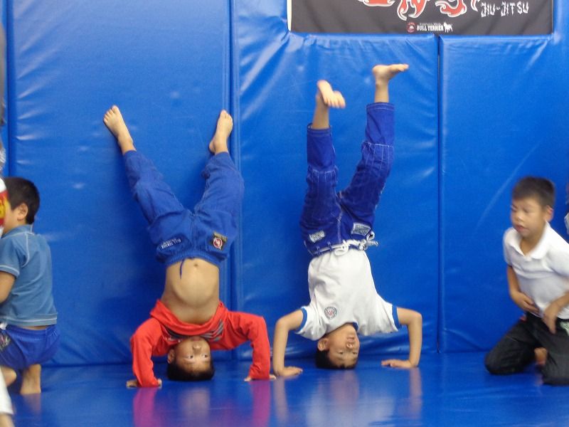 キッズ体育教室 キッズ柔術 キックボクシング フリースパーリング 浜松のブラジリアン柔術 総合格闘技道場 ブルテリア格闘技ジム