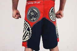 Alpha Shorts 2