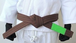 BOREALIS Brown belt 1
