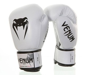 BoxingGloves-Power Ice 1