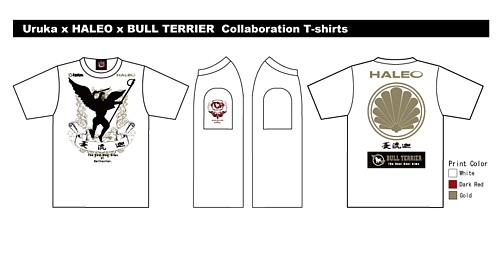 UrukaxbullterrierxHaleo