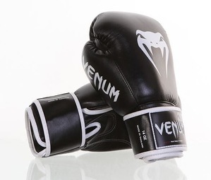 BoxingGloves-Power 1