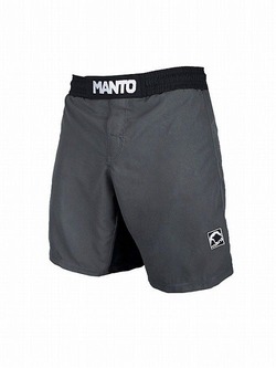 fight shorts EMBLEM gray 1