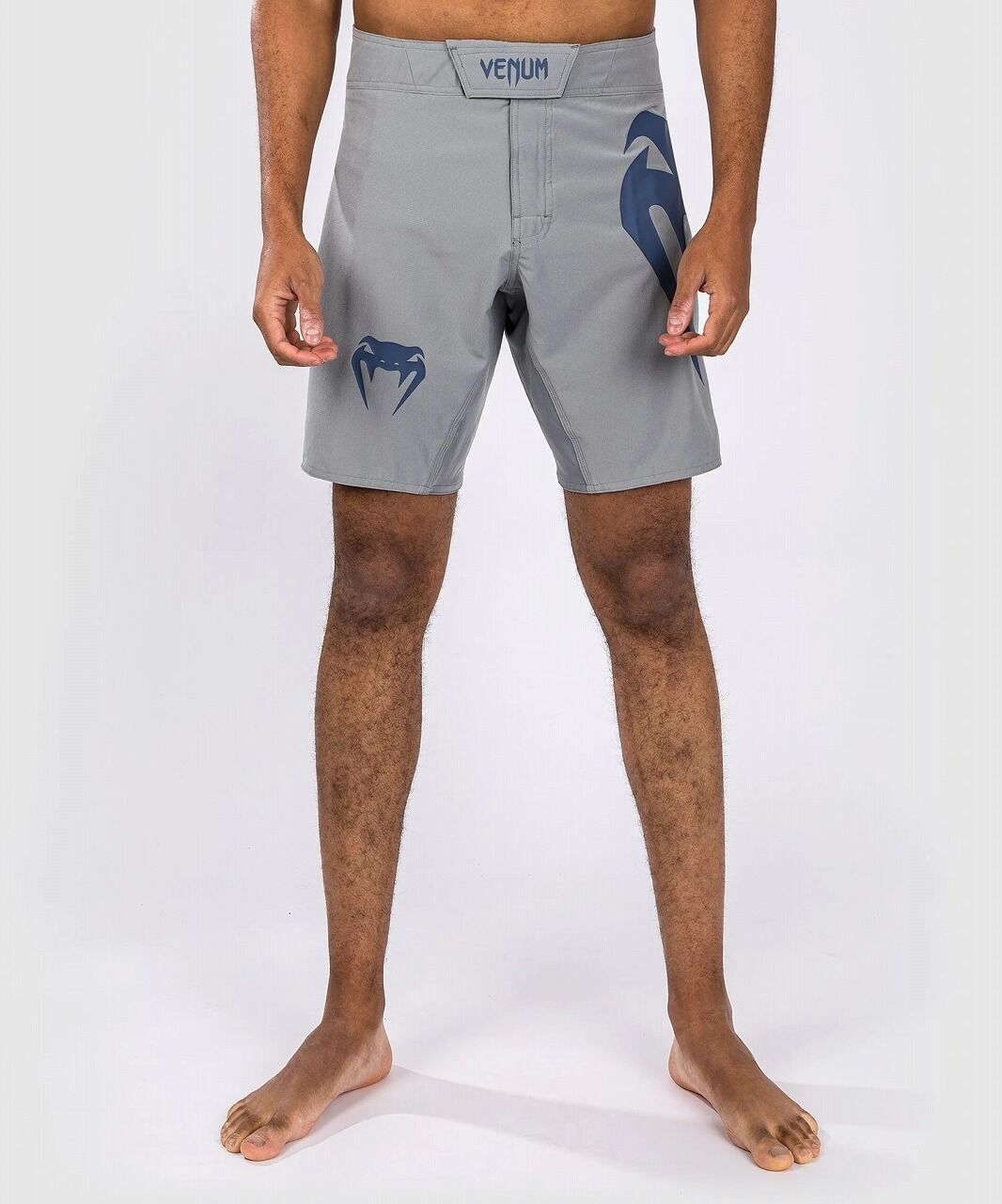 FS_LIGHT_50_GREY_BLUE_1