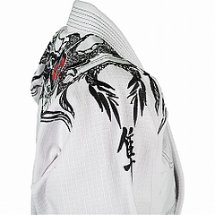 Hayabusa ½À½Ñ°á ¥µ¥¤¥É