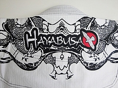 Hayabusa ½À½Ñ°á ¥Ð¥Ã¥¯